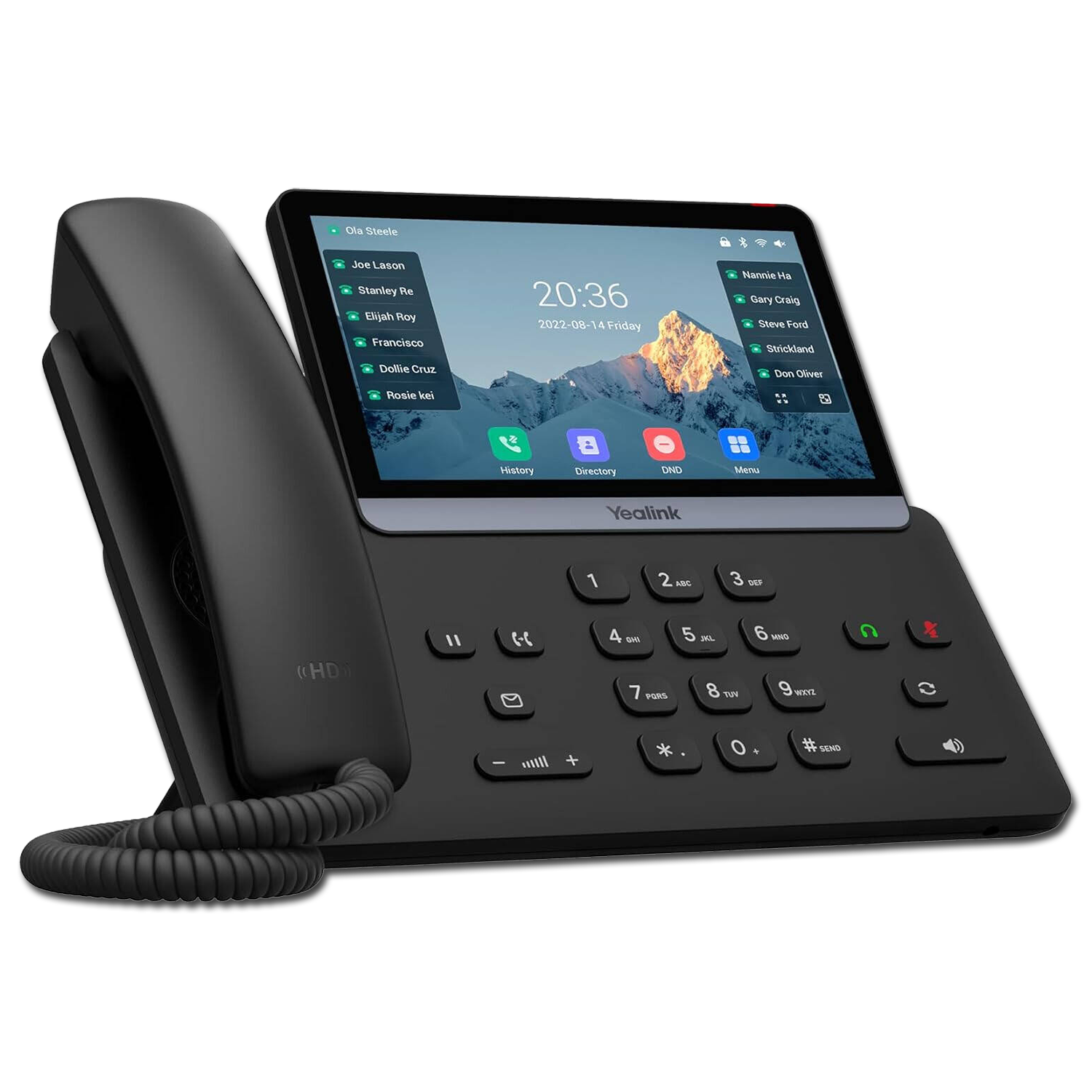 VoIP Phone Systems